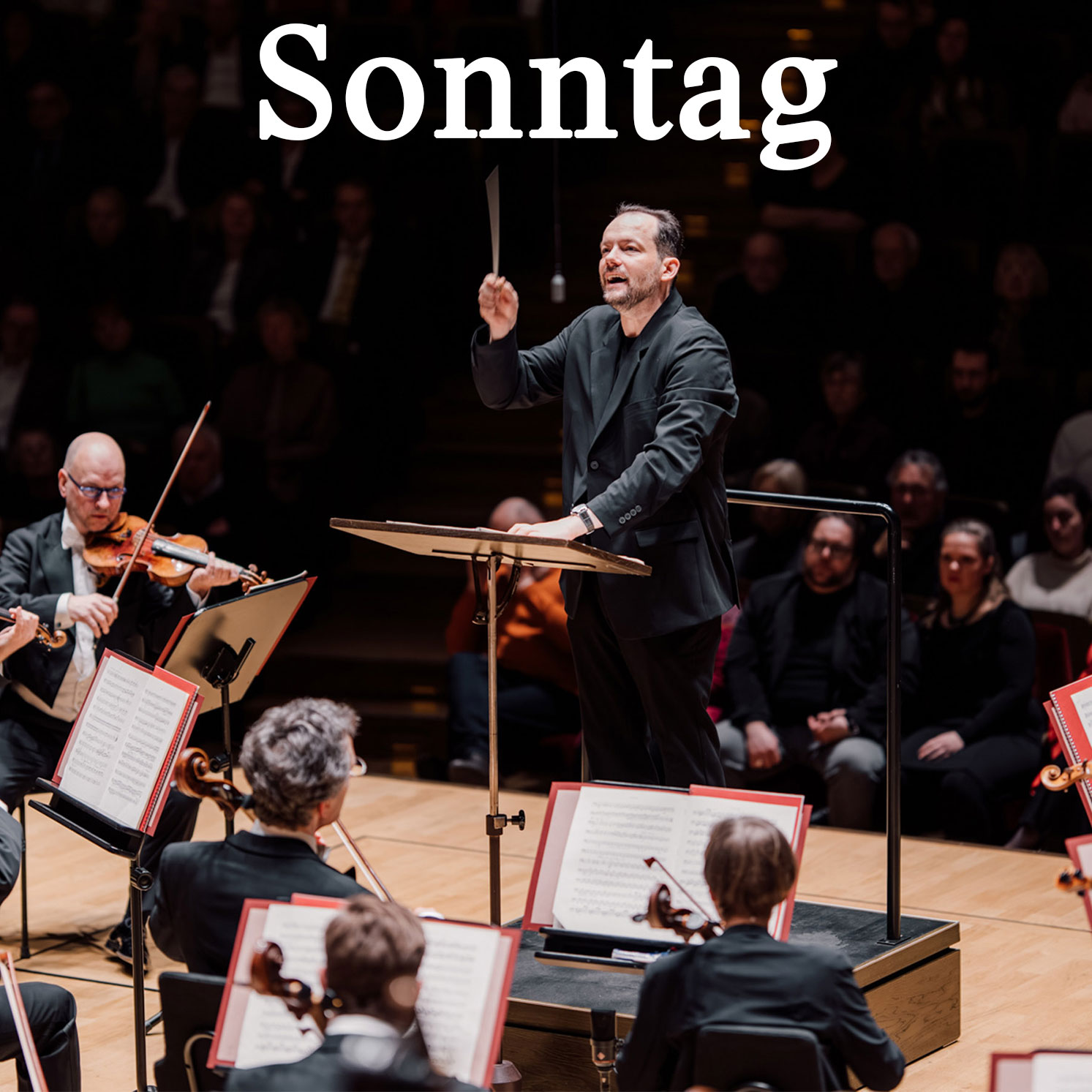 Sonntagsserien